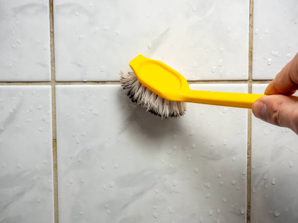 Best Mold Removal Company Near Me  in Kellyville, OK
