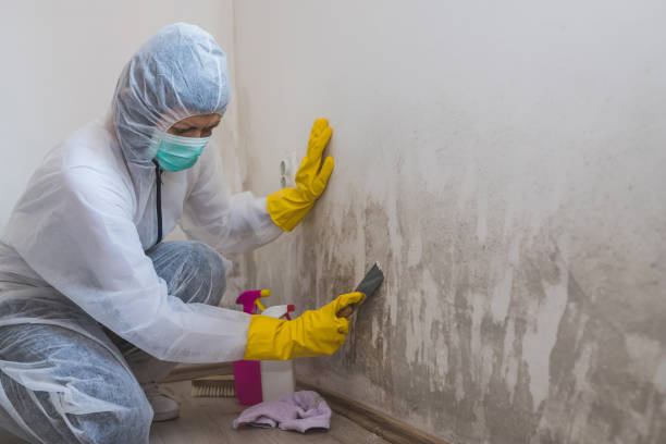 Best Toxic Mold Removal  in Kellyville, OK