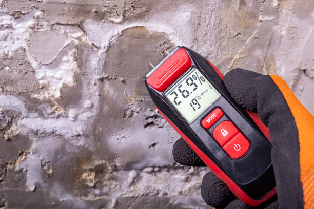 Home Mold Removal in Kellyville, OK
