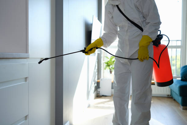 Best Local Mold Removal Service  in Kellyville, OK