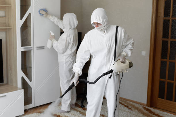 Best Mold Remediation Services  in Kellyville, OK