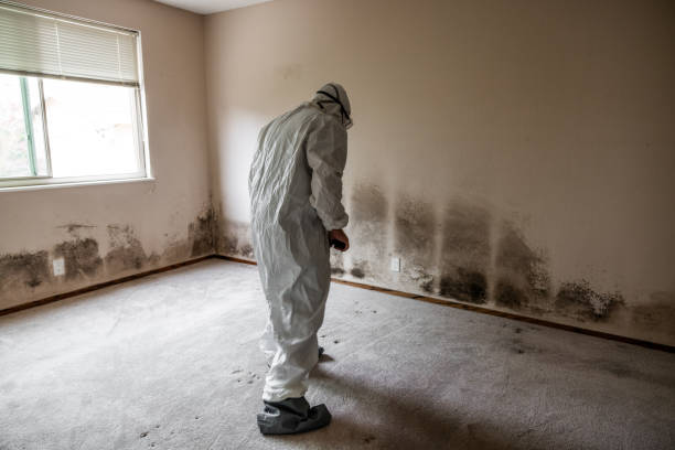 Best Certified Mold Removal  in Kellyville, OK