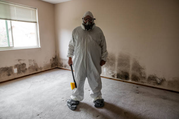 Best Commercial Mold Removal  in Kellyville, OK