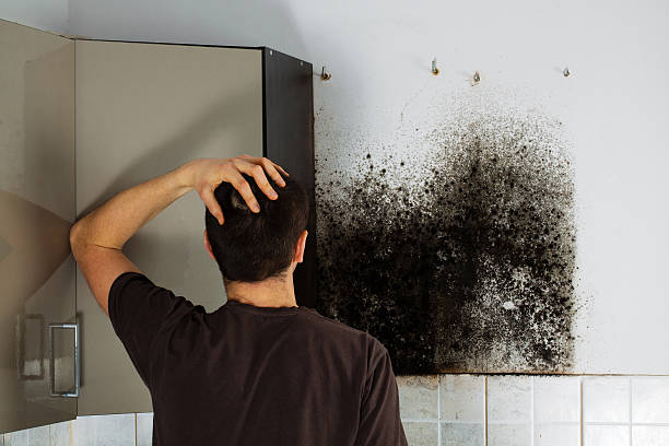 Best Mold Remediation  in Kellyville, OK