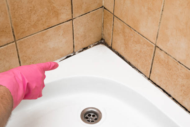 Best Emergency Mold Removal  in Kellyville, OK